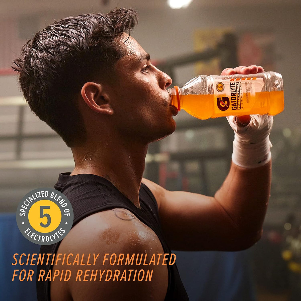 Gatorlyte Rapid Rehydration Electrolyte Drink, 3 Flavor Variety Pack, 20 fl oz Bottles (12 Pack), Specialized Blend of 5 Electrolytes, Lower Sugar, No Artificial Sweeteners, No Artificial Flavors, Gatorade, Hydration
