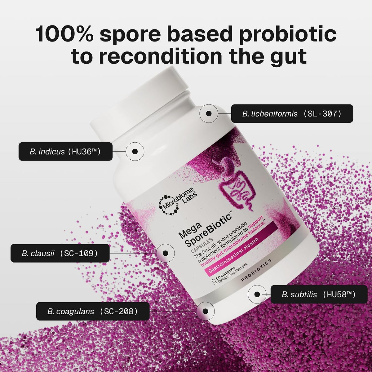 Microbiome Labs Mega SporeBiotic Daily Probiotic for Women + Men, 60 Ct