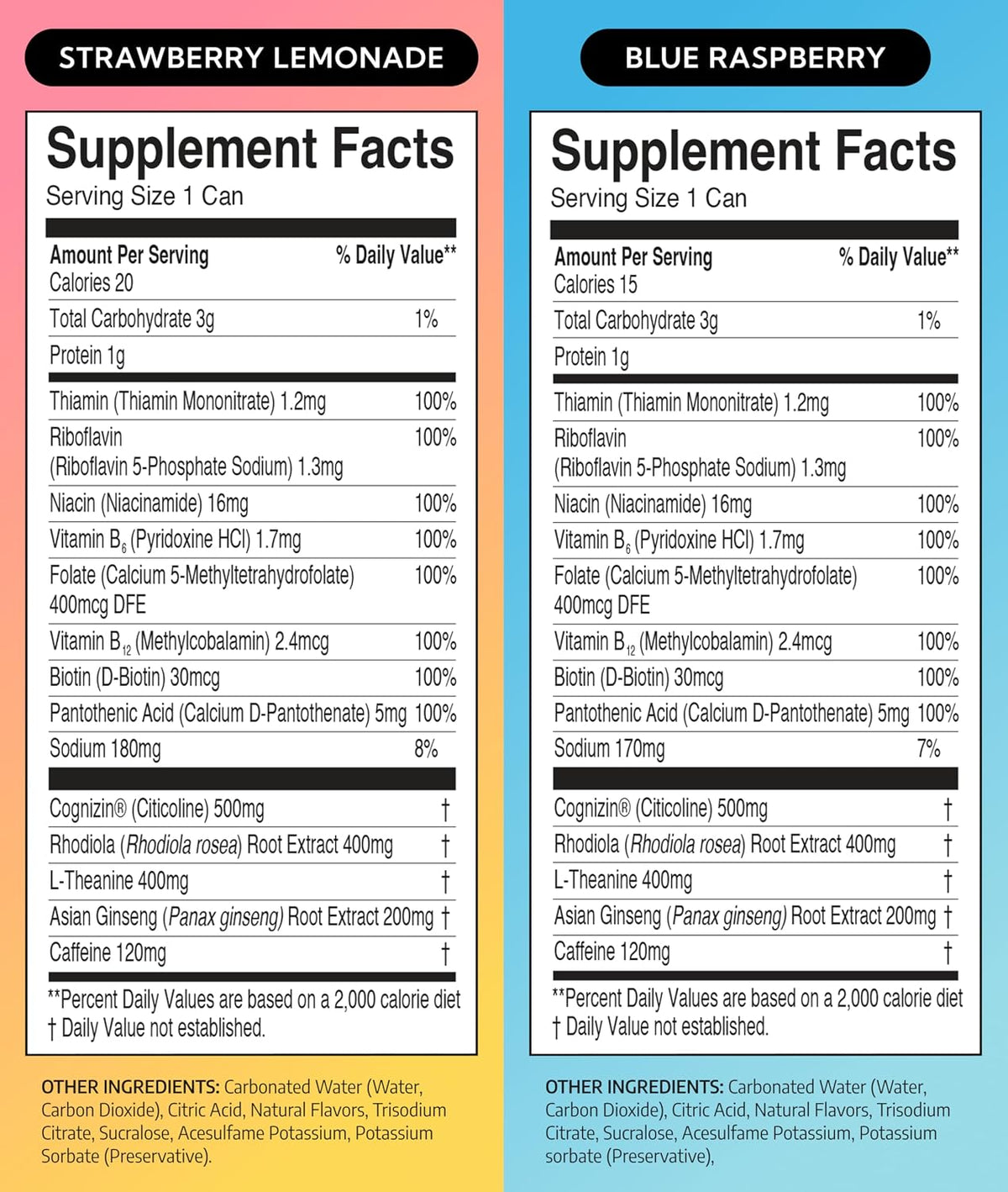Neutonic Nootropic Productivity Energy Drink | Variety Pack 12 Cans | 120mg Natural Caffeine, Zero Sugar | Support Memory, Mental Clarity, Cognitive Function | Boost Focus, Energy, Brain Health
